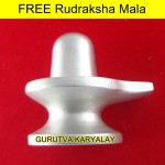 101 Gram Parad Shivalinga 